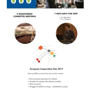 Citizen's summary 2017 – Infographics (EN)