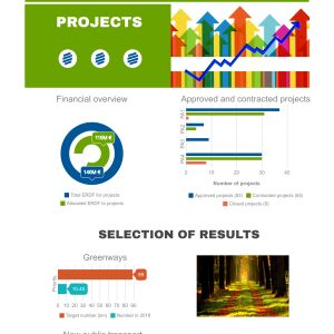 Citizen's summary 2018- Infographics (EN)