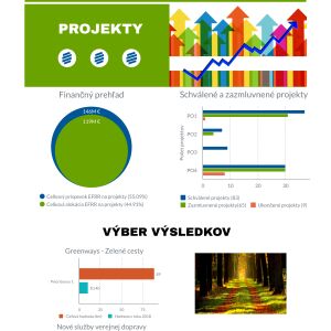 Citizen's summary 2018 - Infographics (SK)