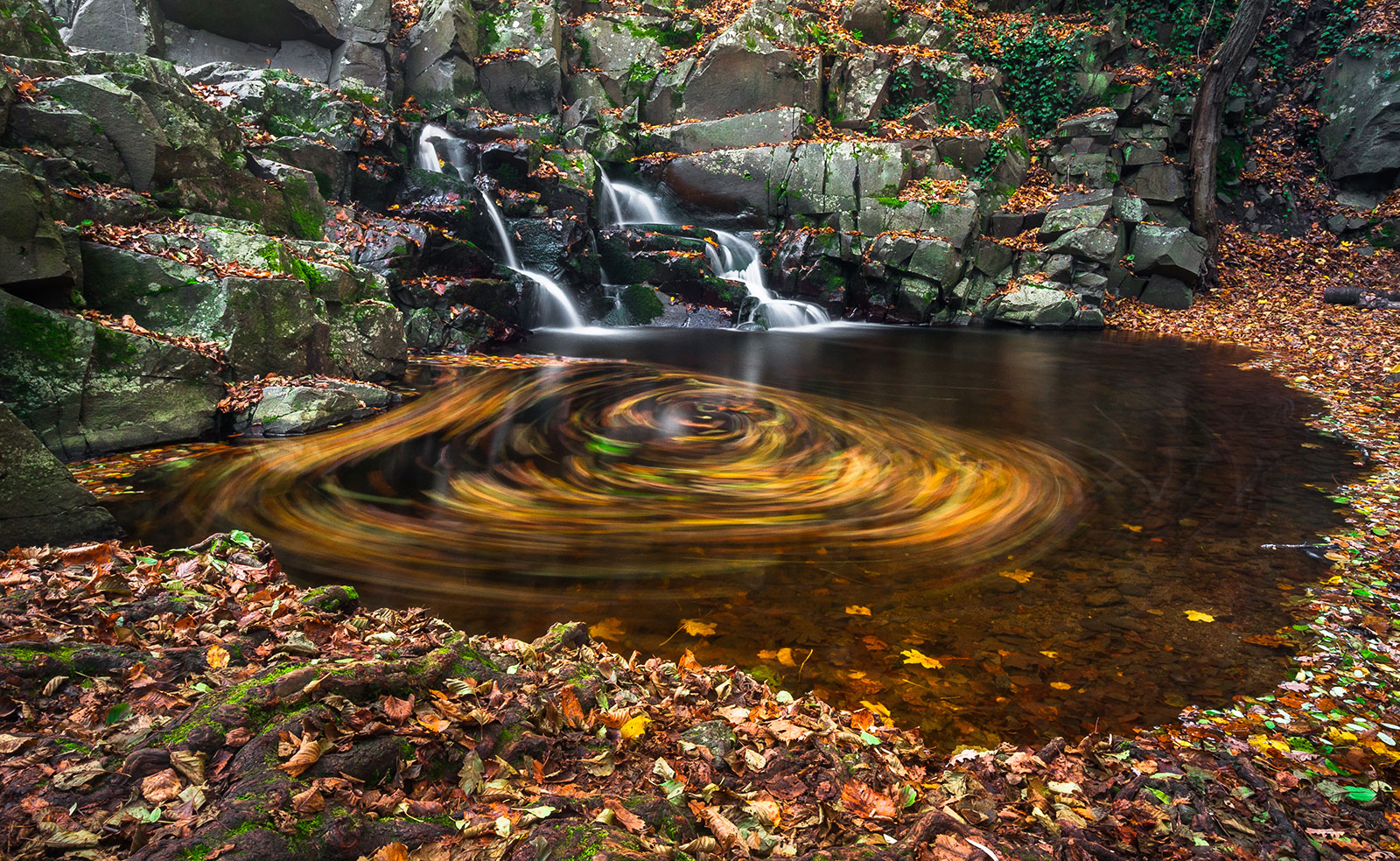 Winners of the Photo contest and photo exhibition