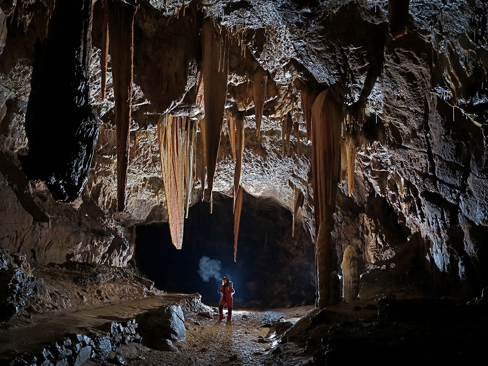 Winners of the Photo contest and photo exhibition