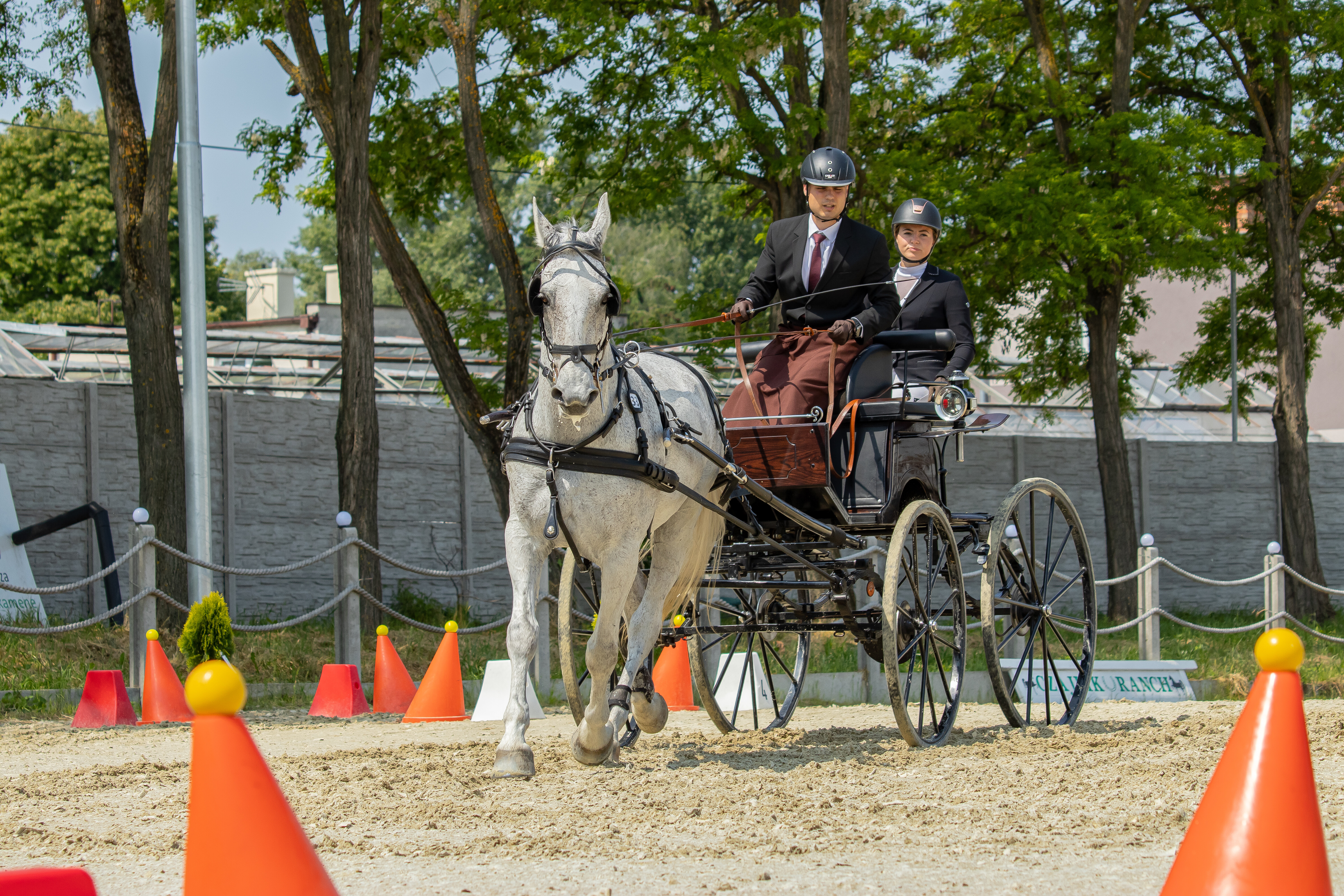 Infrastructure and attractiveness improvement of cross-border equestrian leisure sport in the Danube Bend area in Slovak-Hungarian cooperation